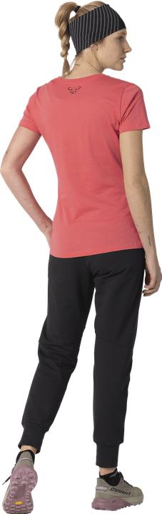 Actual product image Dynafit Graphic Cotton S/S Tee (34)