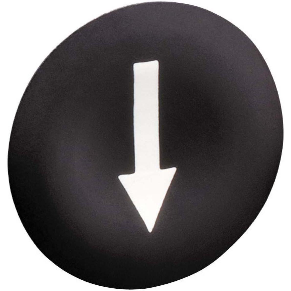 10x Schneider Electric Schutzkappe schwarz mit Beschriftung ZBA7235, Taster + Schalter, Schwarz