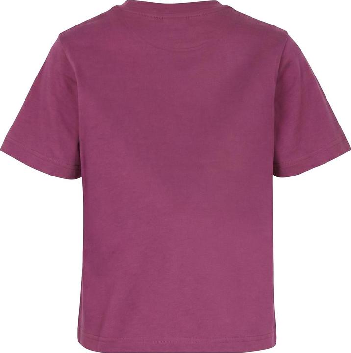 Immagine prodotto Urban Classics Ladies Basic Boxy Tee berrypurple L (L)
