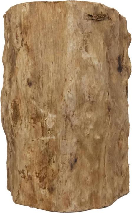 Actual product image Reptiles-Planet Treehouse Giant