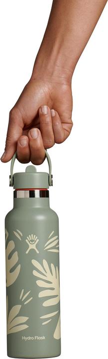 Actual product image Hydro Flask Standard Flex Straw Cap (0.62 l)