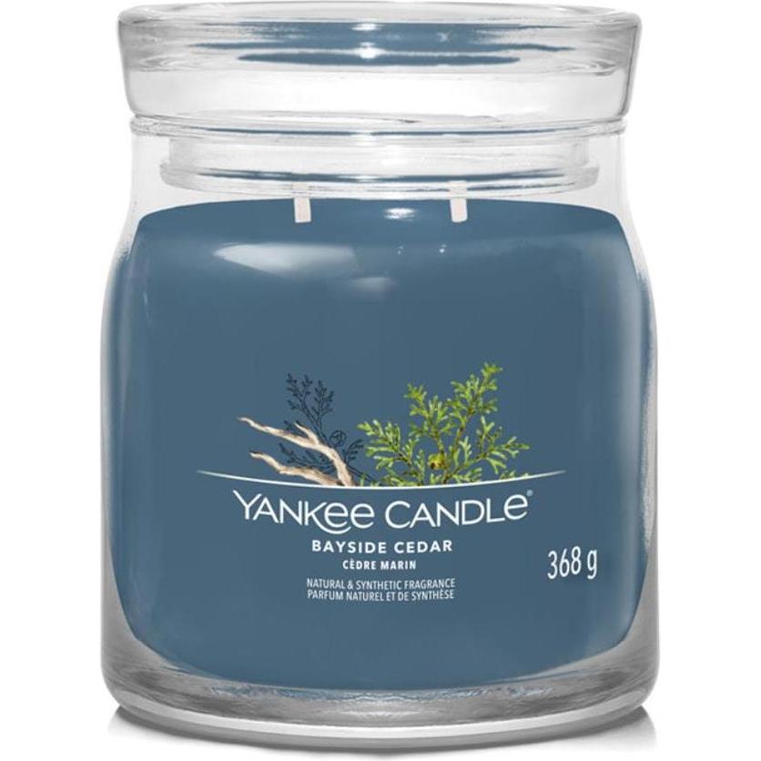 Yankee Candle Blu Candela Profumata, Duftkerze Bayside Cedar Signature Medium Jar