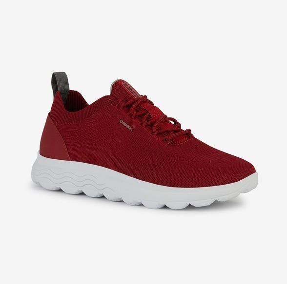 Actual product image Geox Sneaker (41)