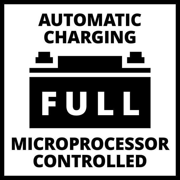 Actual product image Einhell CE-BC 15 M (12V, 15 A)