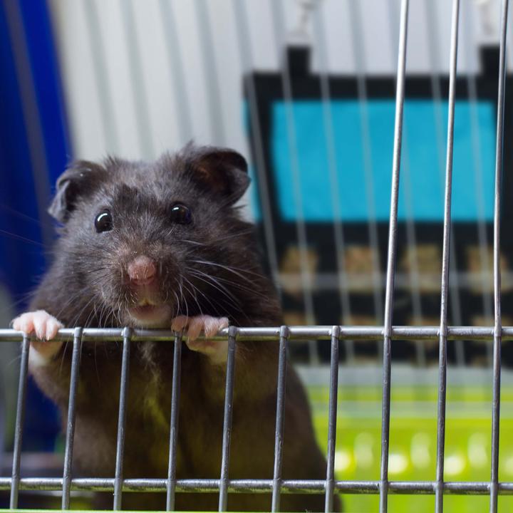 Actual product image Relaxdays Hay bag