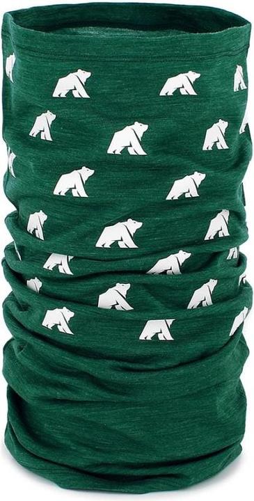 Image du produit Fjork Merino Cache cou réversible - Vert