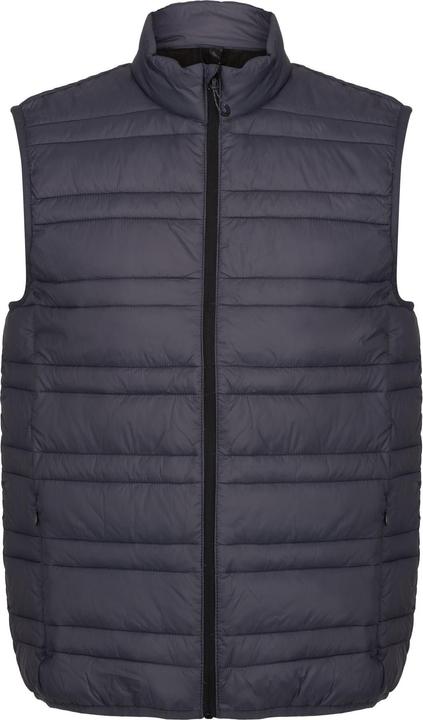 Produktbild Regatta UTRG4506 P (L)