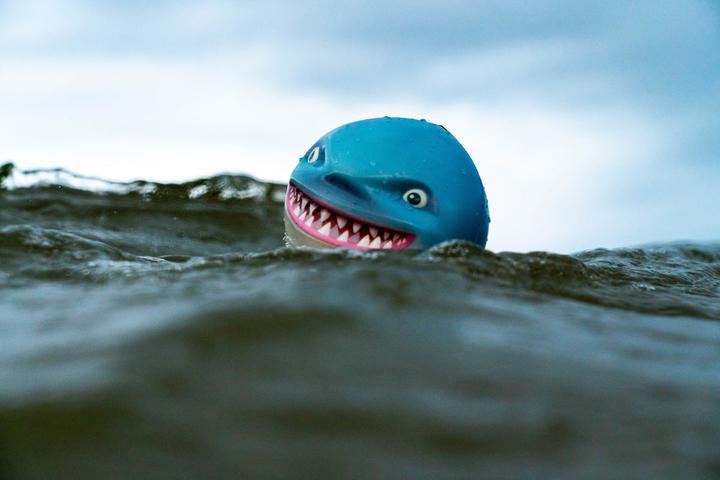 Produktbild Waboba Sharky Shark