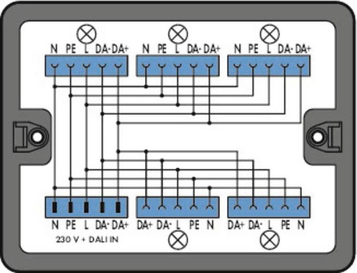Actual product image Wago 899-631/313-000 Distribution box distribution DALI, black (Terminal strips)