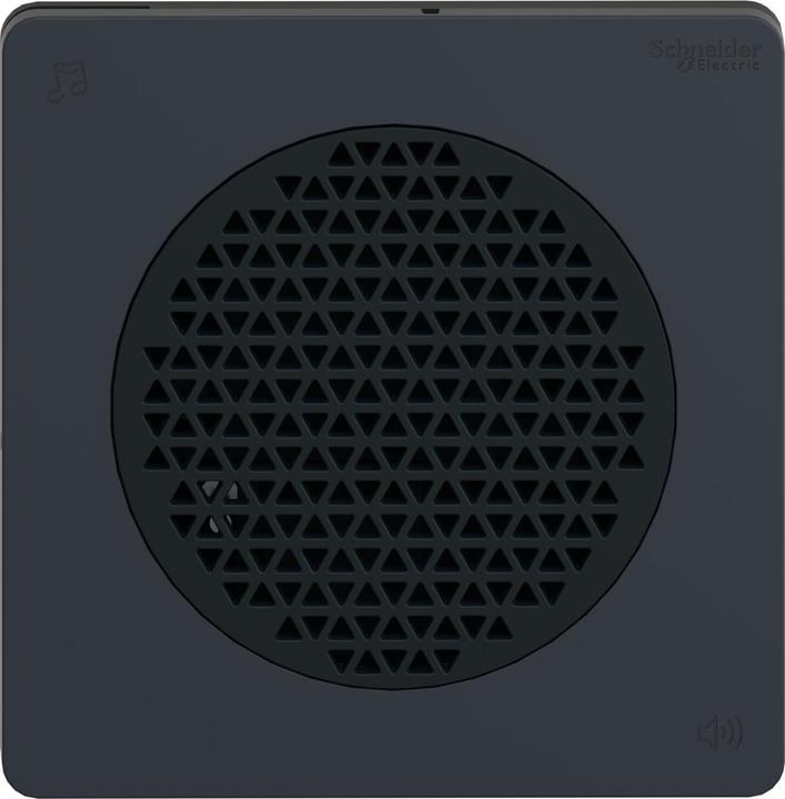 Produktbild Schneider Electric Black Voice Alarm, DIN96, NPN, 24Vdc