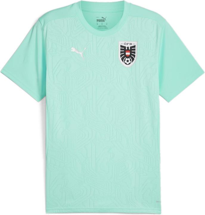 Actual product image Puma ÖFB Training (M)