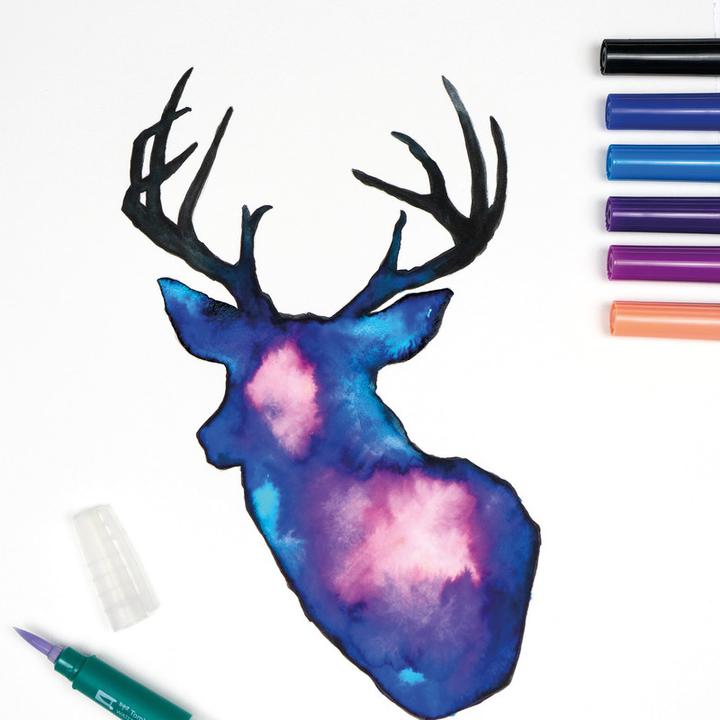 Actual product image Tombow Dual Brush Pens (10 x)