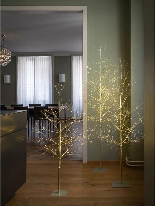 Produktbild STT Champagne Baum