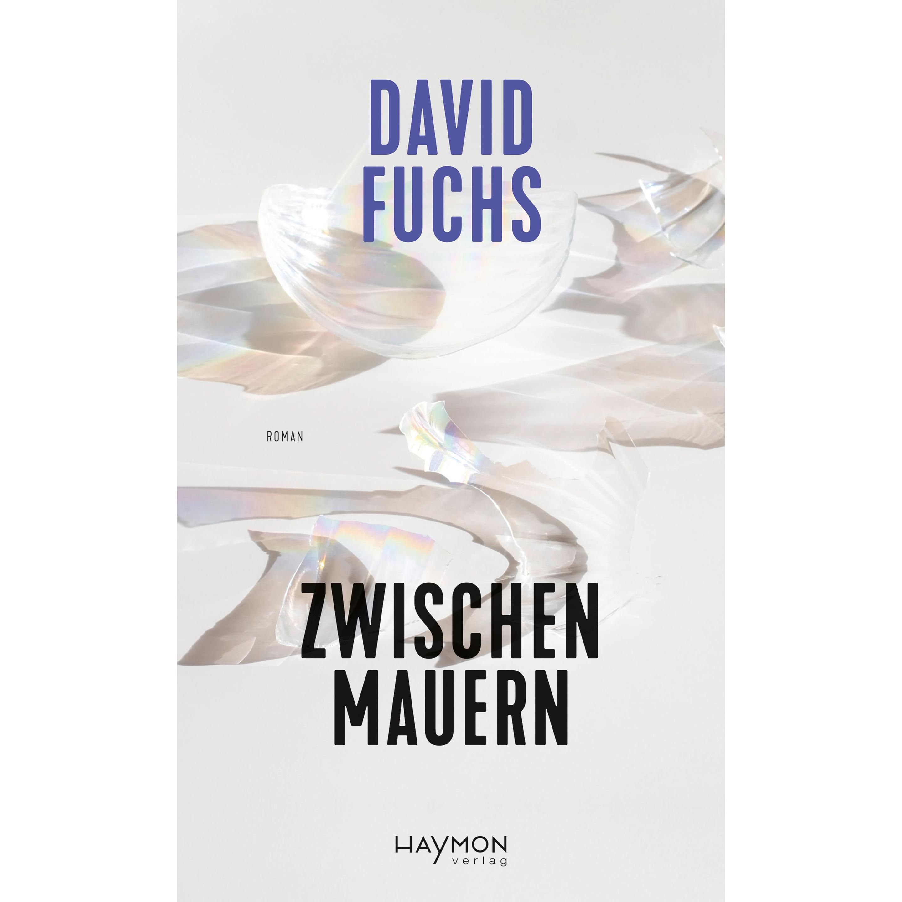 Zwischen Mauern, Belletristik von David Fuchs