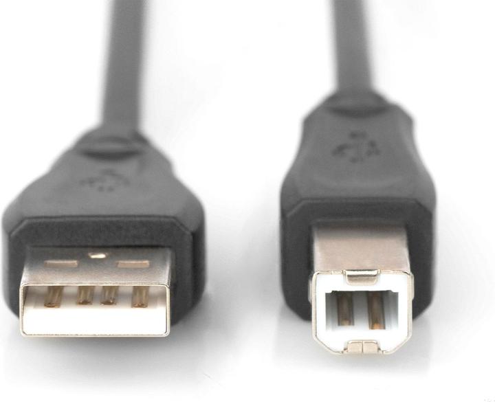 Actual product image Digitus USB2.0 connection cable, 0.5 m (0.50 m, USB 2.0)