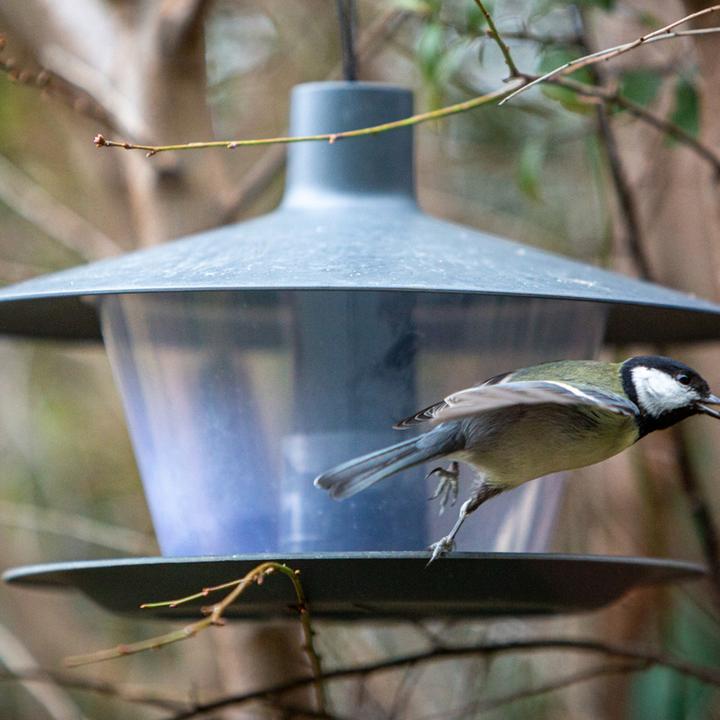 Actual product image Siena Garden Birdhouses