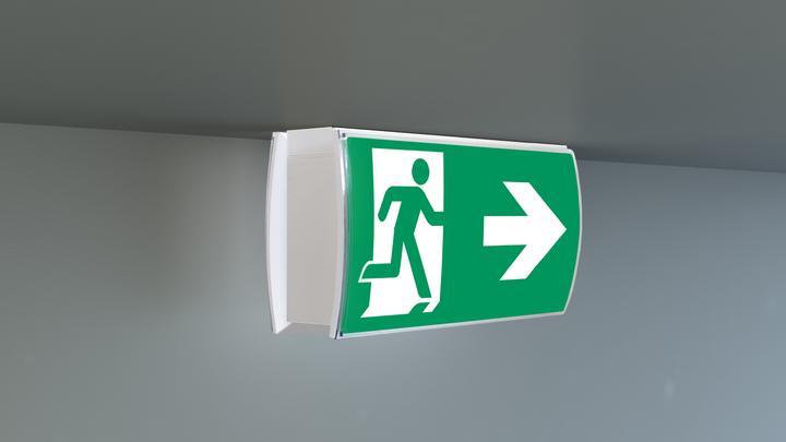 Actual product image Rp-Group Escape sign luminaire