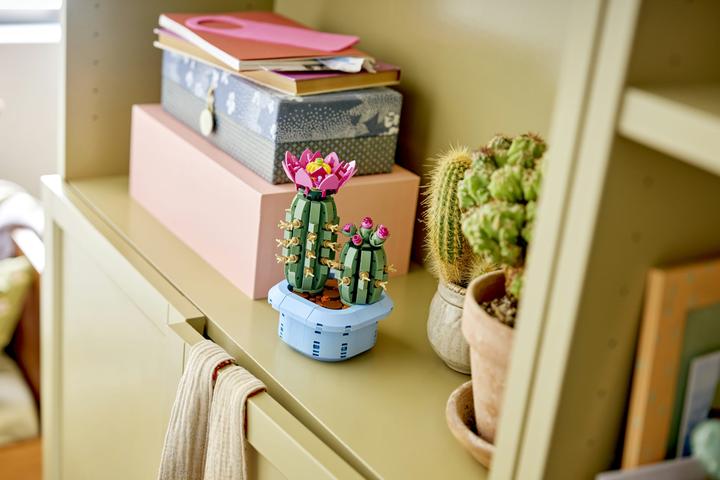 Image du produit LEGO Blühender Kaktus (11509, LEGO Botanical)