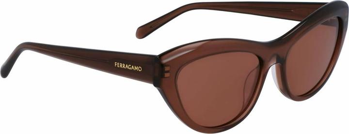 Image du produit Salvatore Ferragamo Ladies' Sunglasses SF1103S-5517232 Ã˜ 55 mm