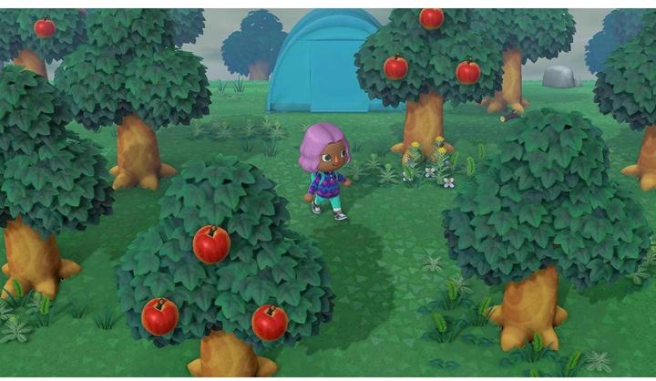 Produktbild Nintendo Animal Crossing: New Horizons (Switch, Multilingual)