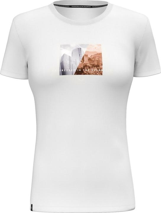 Salewa Pure Design Dry T-Shirt