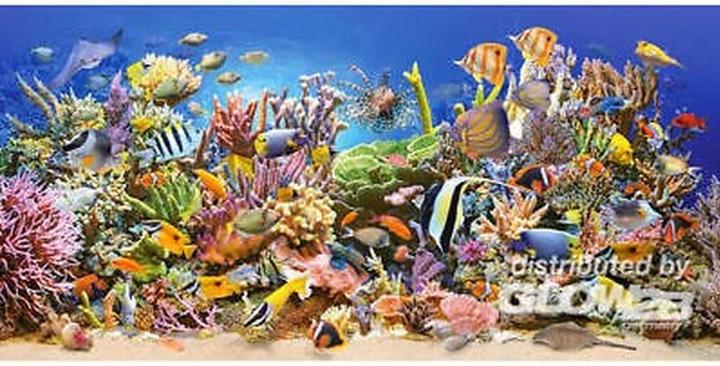 Produktbild Castorland Underwater life (4000 Teile)