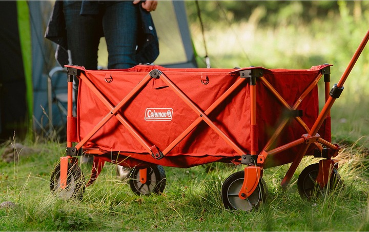 Actual product image Coleman Ladder trolley