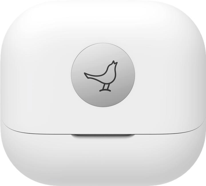 Actual product image Libratone AIR+ 3 (ANC, 6 h, Wireless)