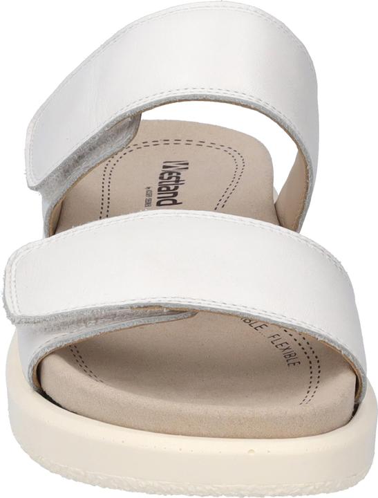 Actual product image Westland 25403-409 (41)