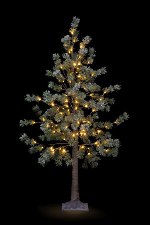 Image du produit STT Pine needle tree 150