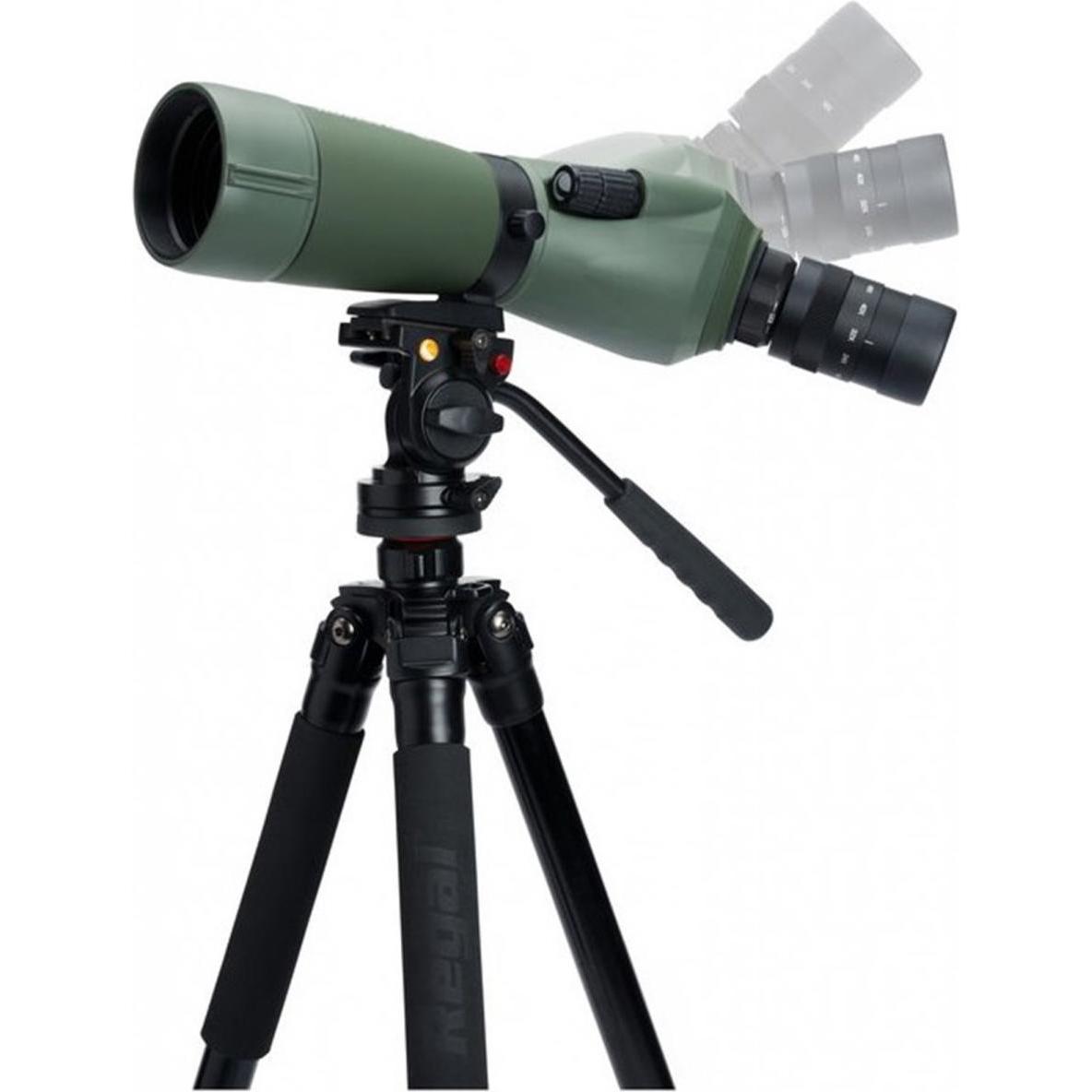 Thumbnail - Celestron, Fernglas, (48 x, 65 mm)