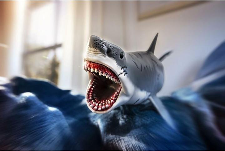 Image du produit Schleich Megalodon