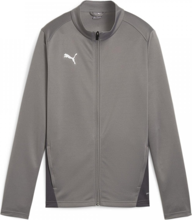 Actual product image Puma teamGOAL Training Jacket Wmn (S)