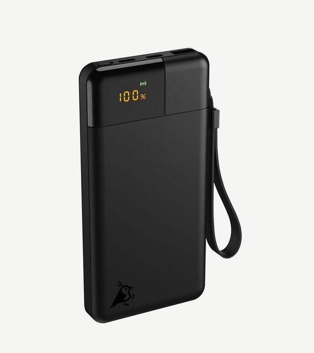 Image du produit Aqiila Powerbird B10B - Banque de puissance 10000 mAh, 20W - Noir (10000 mAh, 20 W, 37 Wh)
