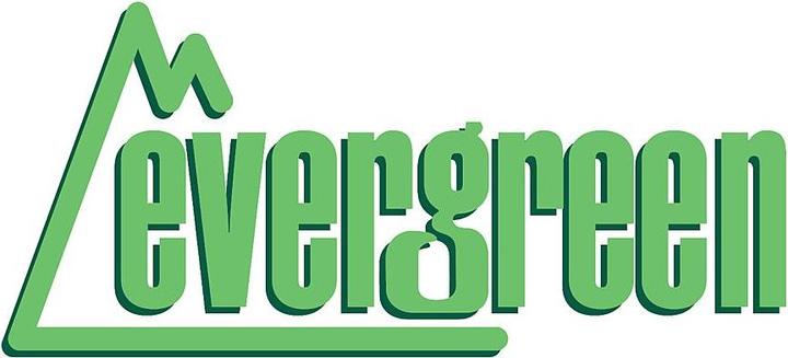 Produktbild Aztek Platte, weiss, 15x30cm, 1.0mm Schindeldach