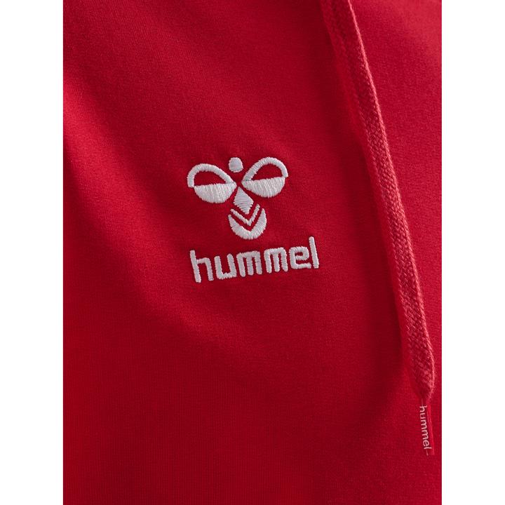 Actual product image hummel HMLGO 2.0 HOODIE (XXL)