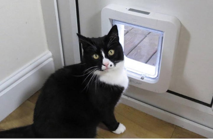 Productafbeelding SureFlap Microchip (Microchip kattenluikje)