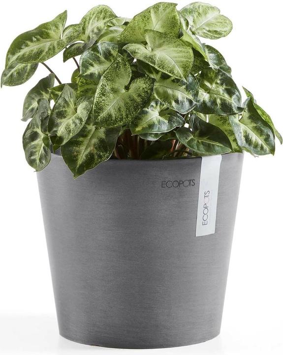 Produktbild Ecopots Amsterdam (20 x 17.50 cm)