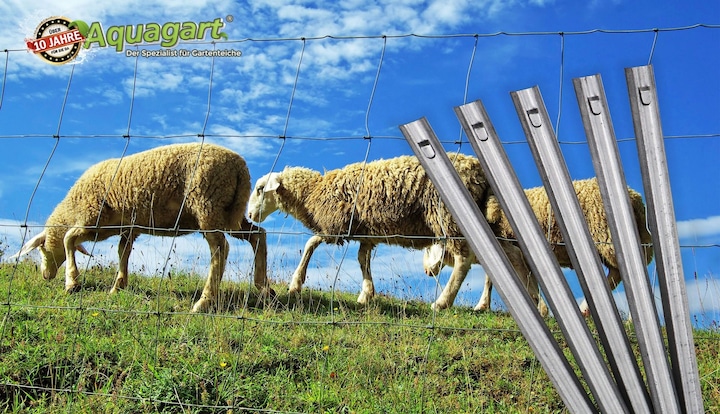 Produktbild Aquagart 20 W-Profil Zaunanker Erdanker für Wildzaun Forstzaun Weidezaun 50cm