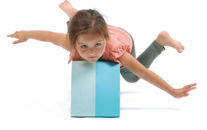 Actual product image LUDI Motor blocks in foam - (LU90112)