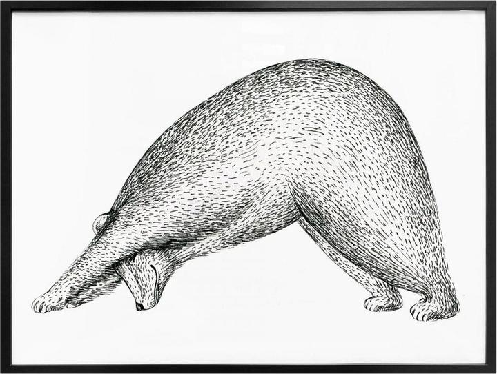 Image du produit Trenddeko Yoga Ours 01 (50 x 40 cm)