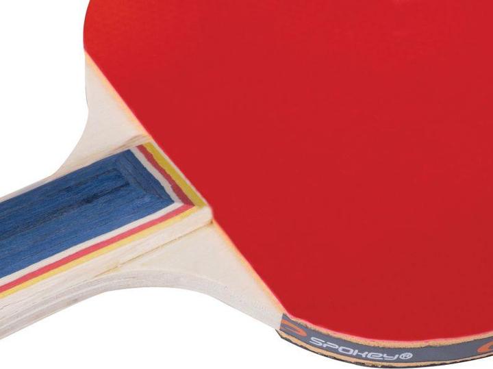 Actual product image Spokey Training Pro