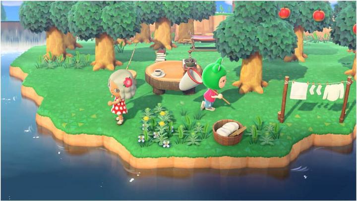 Produktbild Nintendo Animal Crossing: New Horizons (Switch, Switch Lite, Switch OLED)