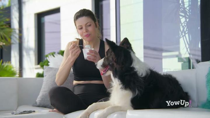 Actual product image YowUp! yogourt glacé BACON CAKE, 110g (Adult, 12 pcs., 110 g)