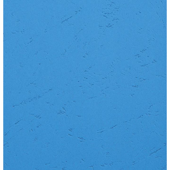 Actual product image Exacompta FOREVER cover, DIN A4, blue