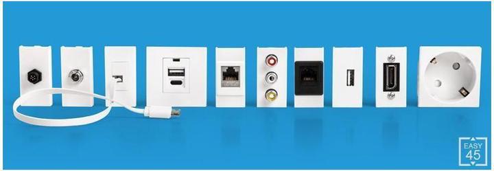 Image du produit Delock Cache de module Easy 45 2 x découpe rectangulaire 17 x 24,3 mm, 45 x 45 mm 5 pièces noir (Support mural)