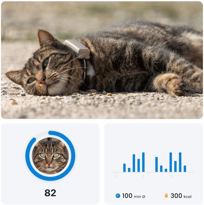 Actual product image Tractive GPS Mini (One size, Cat, General)