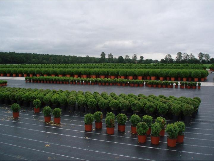 Productafbeelding Faura Anti-grass mesh 100g/m² green 1 x 10 m