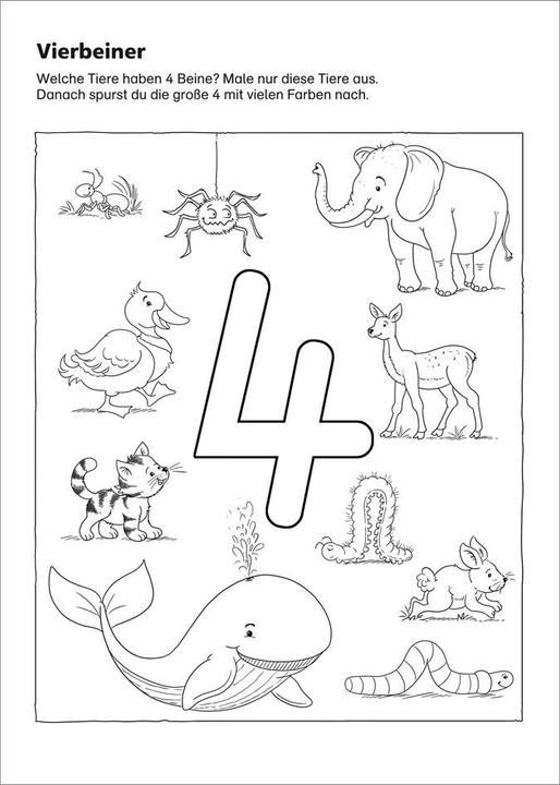 Produktbild Tessloff Mein eulenschlaues Vorschulbuch (Deutsch, Julia Meyer, 2018)