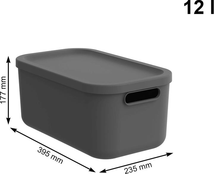 Actual product image Rotho Storage box (23.50 cm, 12 l, 1x)